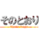 そのとおり (That's Right)