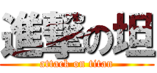 進撃の坦 (attack on titan)