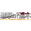 進撃の傻逼木 (attack on titan)