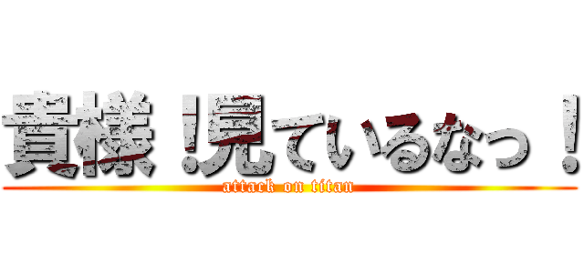 貴様！見ているなっ！ (attack on titan)