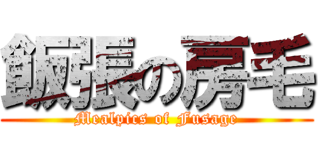 飯張の房毛 (Mealpics of Fusage)