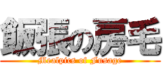 飯張の房毛 (Mealpics of Fusage)