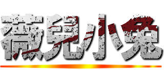 薇兒小兔 ()