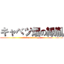 キャベツ畑の緑胤 (field on cabbage)