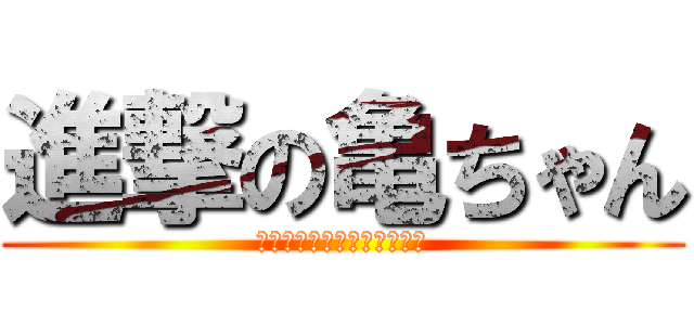 進撃の亀ちゃん (明日できることは今日しない)