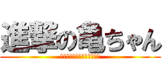 進撃の亀ちゃん (明日できることは今日しない)