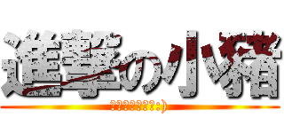 進撃の小豬 (還有進擊的小肥:))