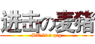 进击の麦猪 (ST is a pig)