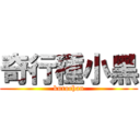 奇行種小黑 (kurochan)