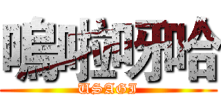 嗚啦呀哈 (USAGI)