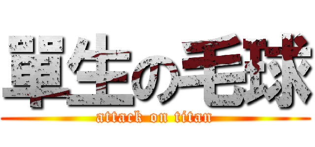 單生の毛球 (attack on titan)