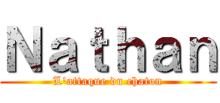 Ｎａｔｈａｎ (L'attaque du chaton)