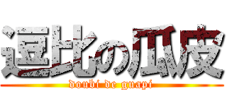 逗比の瓜皮 (doubi de guapi)