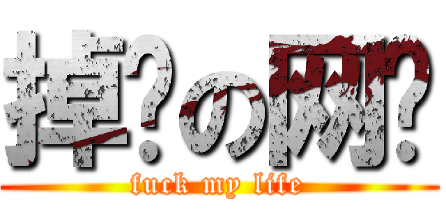 掉线の网络 (fuck my life)