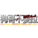 狗哥不要拉 (attack on titan)