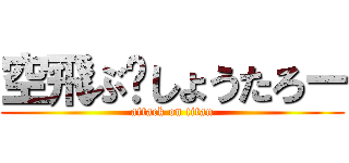 空飛ぶ〜しょうたろー (attack on titan)