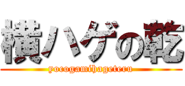 横ハゲの乾 (yocogamihageteru)