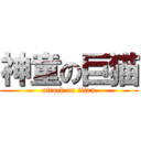 神童の巨猫 (attack on titan)