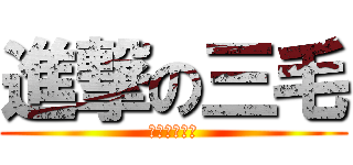 進撃の三毛 (呵呵呵呵呵呵)