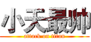 小天最帅 (attack on titan)