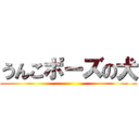 うんこポーズの犬 ()