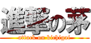 進撃の茅 (attack on kichigai)
