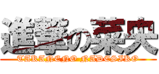 進撃の菜央 (TAKANENO NADESIKO)