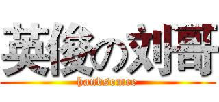 英俊の刘哥 (handsomee)