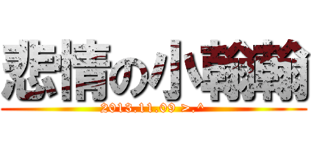 悲情の小翰翰 (2013.11.09 >.^)