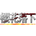 櫻花落下 (櫻花落下)