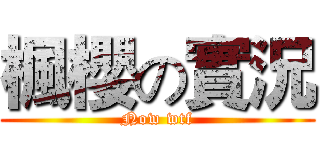 楓櫻の實況 (Now wtf)