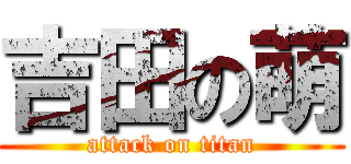 吉田の萌 (attack on titan)