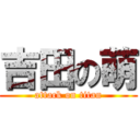 吉田の萌 (attack on titan)