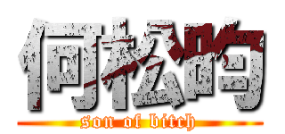 何松昀 (son of bitch)