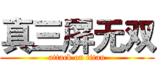真三屏无双 (attack on titan)