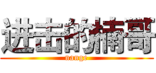 进击的楠哥 (nange)