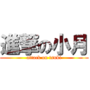 進撃の小月 (attack on tsuki)