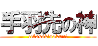 手羽先の神 (tebasakinokami)