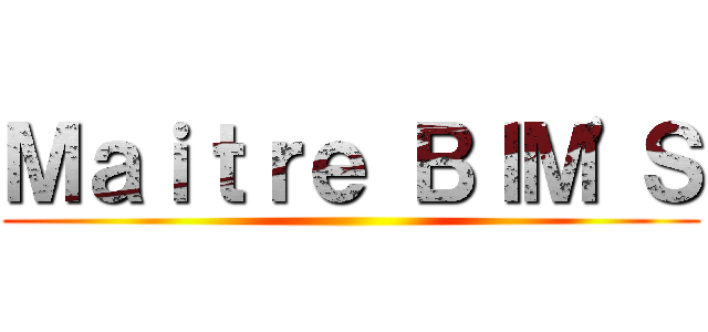 Ｍａｉｔｒｅ ＢＩＭ\'Ｓ ()