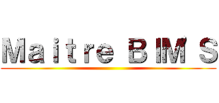 Ｍａｉｔｒｅ ＢＩＭ\'Ｓ ()