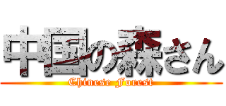 中国の森さん (Chinese Forest)