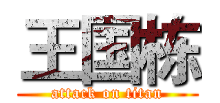 王国栋 (attack on titan)