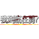 我到底在剪尛 ()