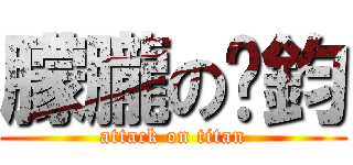 朦朧の彥鈞 (attack on titan)