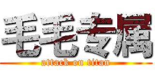 毛毛专属 (attack on titan)