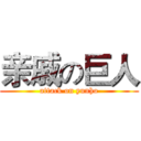 亲戚の巨人 (attack on yunho)