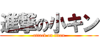 進撃の小キン (attack on titan)