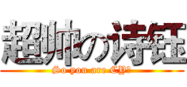 超帅の诗钰 (So you are CY?)