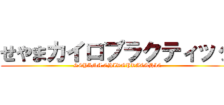 せやまカイロプラクティック (SEYAMA CHIROPRACTHIC)