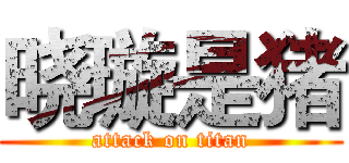 晓璇是猪 (attack on titan)